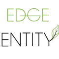 Edge Entity